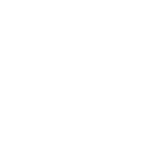 Irrevocare Logo